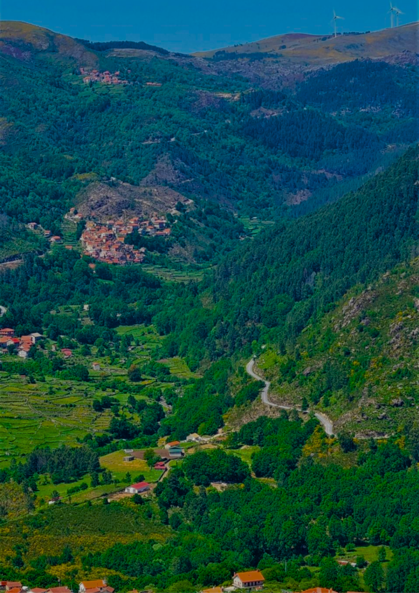 MARGISTAR Training School Flyer