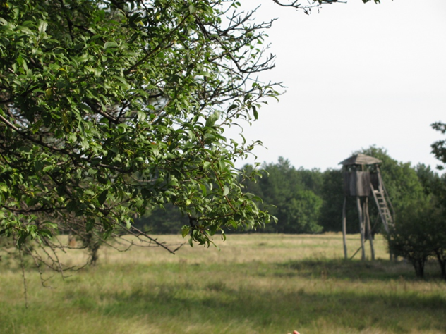 Hunting ground Alija (Negotinska krajina) 